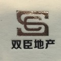 武汉双臣实业发展集团有限公司