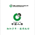 中国人寿保险股份有限公司上海市分公司徐汇文定路营销