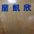 深圳市兰凯欣科技有限公司